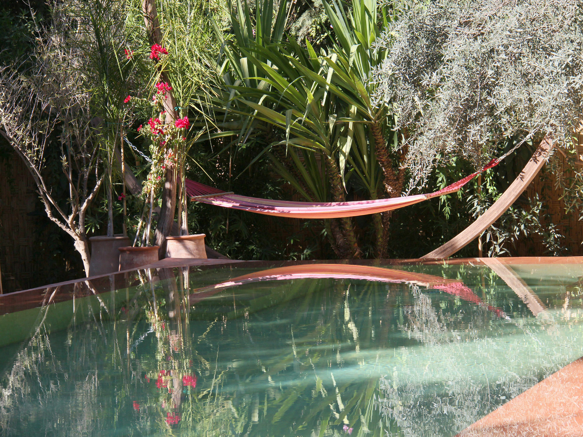 Le Jardin Touagana - Campement & Lodge Touggana Luaran gambar