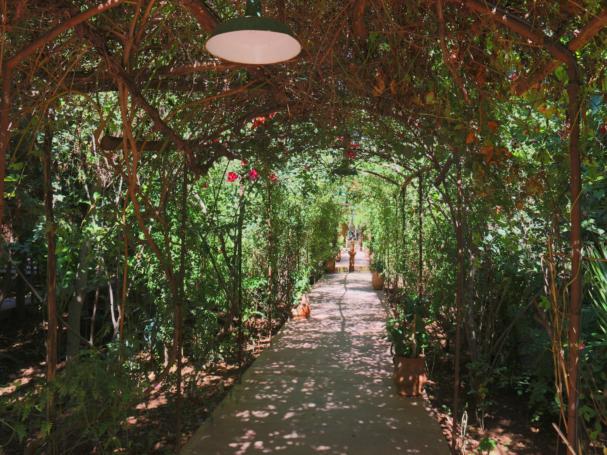 Le Jardin Touagana - Campement & Lodge Touggana Luaran gambar
