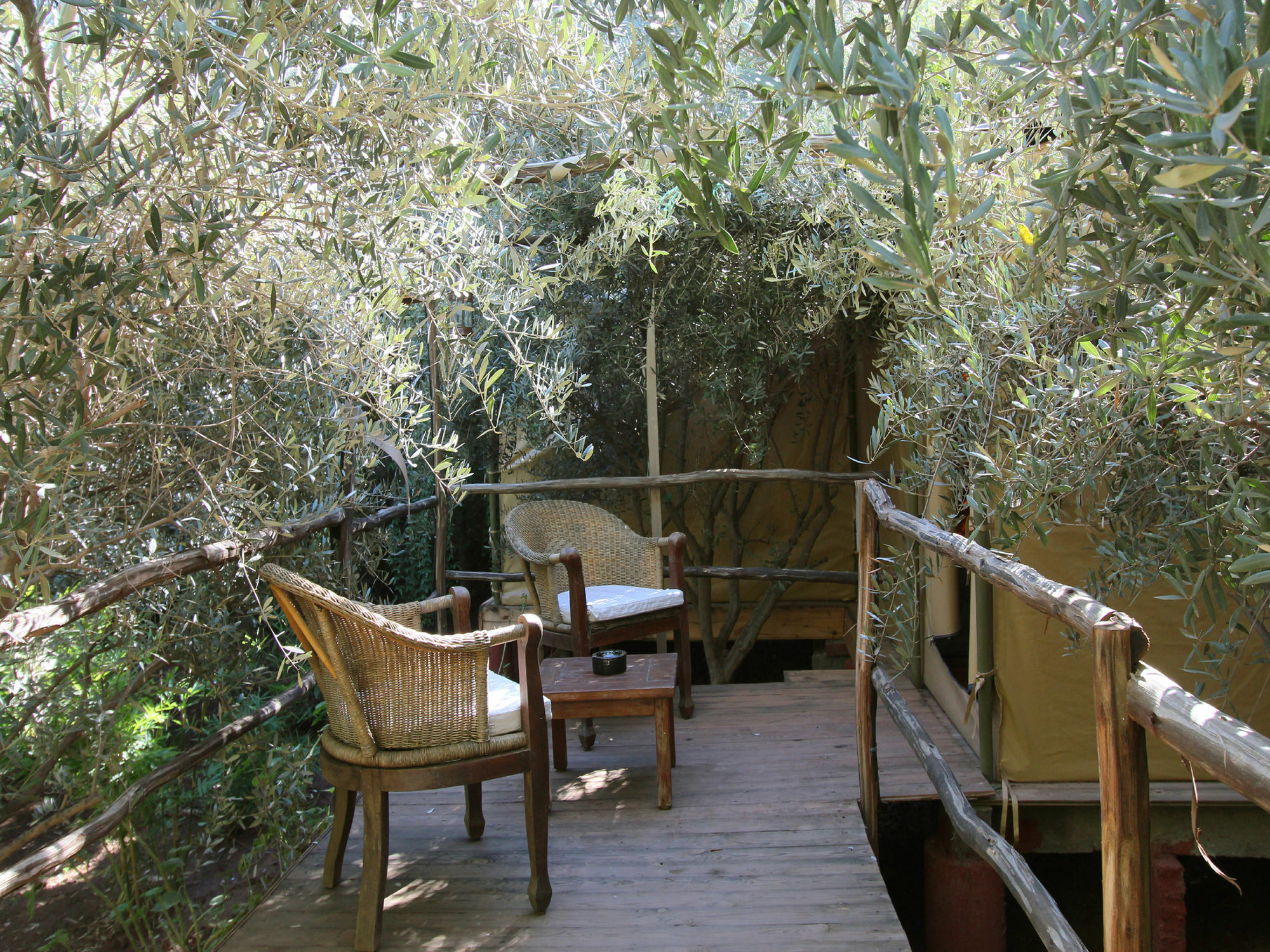 Le Jardin Touagana - Campement & Lodge Touggana Luaran gambar